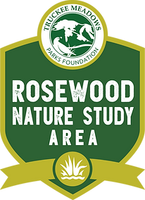 truckee-07-rosewood-nature-rgb.png
