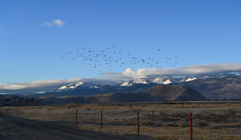 DSC_0536.JPG